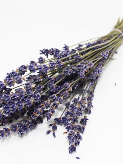 English Lavender Bouquet